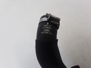  Cooling radiator hose 