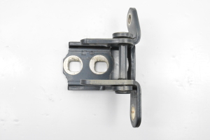  Rear side door hinge lower 