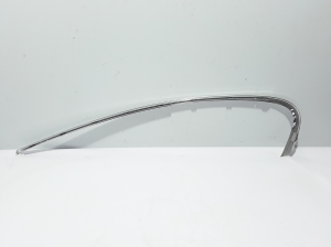  Rear side door strip to glass outer 