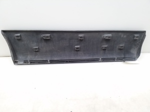  Rear side door strip 