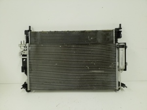  Radiator set and its details 