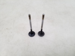  Exhaust valve 