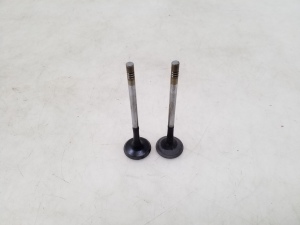  Exhaust valve 