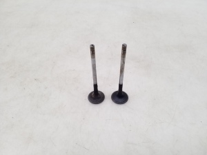  Exhaust valve 