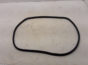  Front door sealing rubber 