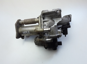  EGR valve and its parts 