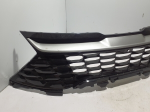  Grille de calandre avant 
